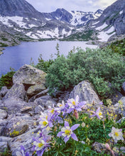 Load image into Gallery viewer, Arrowhead Lake With Columbines