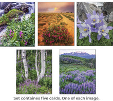 Load image into Gallery viewer, Inamges of wildflowers, streams, aspens, columbines and mountains indicating images on five note cards contained in set.